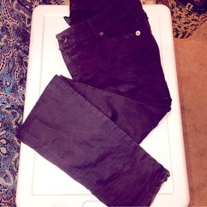 Purple Denim Torrid Jeans